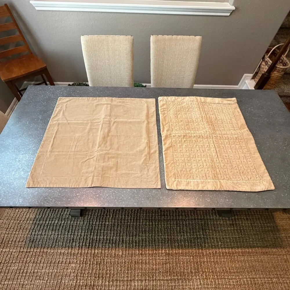 Two Pottery Barn Velvet Pillow Covers 20